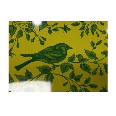 A estrutura regular da lantejoula revestiu a bobina de aço com a pintura de PE/SMP/HDP/PVDF